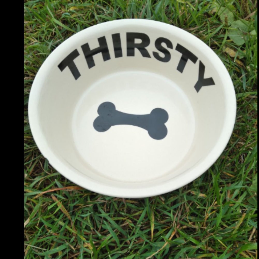 Hungry Thirsty Dog Bowl